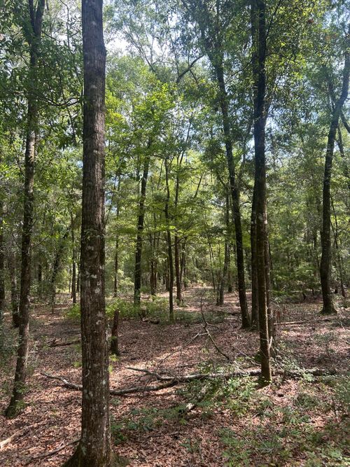 0 Boat Landing Rd, Ridgeville, SC, 29472 | Card Image