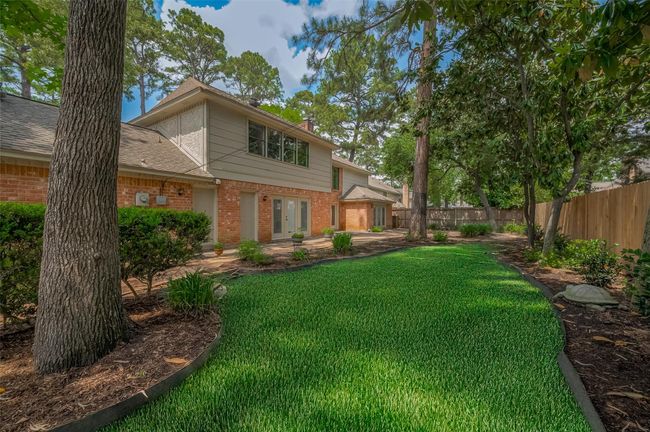 Plush Green Grass | Image 47