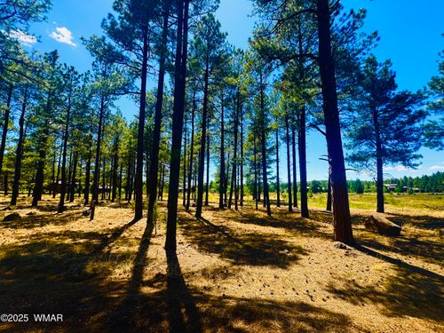 9578 Sierra Springs Dr, Pinetop, AZ, 85935-8883 | Card Image