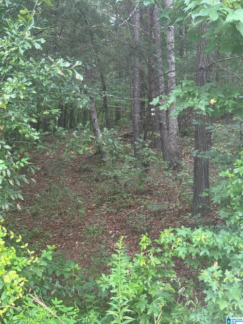 0-1835 Old Highway 26, Ragland, AL, 35131-4114 | Card Image