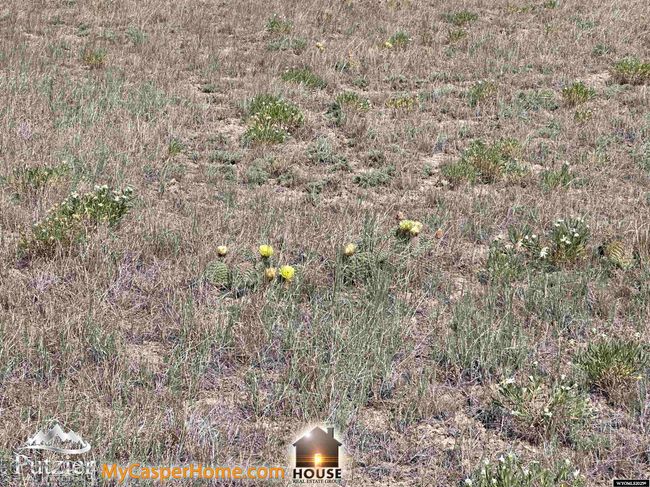 19598 Pedros Pass, Home with 0 bedrooms, 0 bathrooms and null parking in Casper WY | Image 7