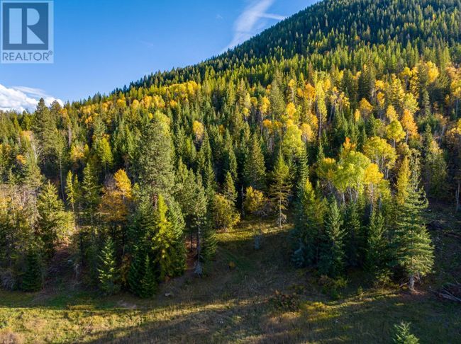 Lot 1 Corn Creek Rd, Home with 0 bedrooms, 0 bathrooms and null parking in Creston BC | Image 9