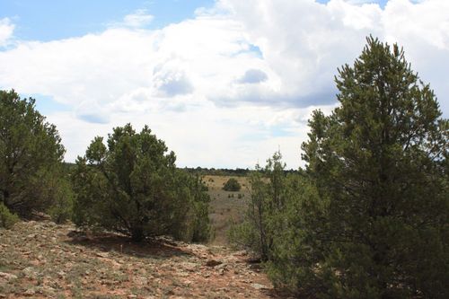 398-399 Cheyenne Drive, Ramah, NM, 87321 | Card Image