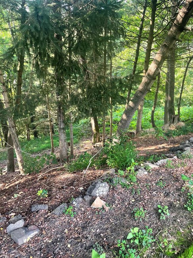 7 Zitko Ter, Home with 3 bedrooms, 2 bathrooms and null parking in Glen Dale WV | Image 24