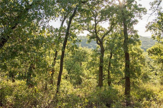 1020 Post Oak Rd, Home with 0 bedrooms, 0 bathrooms and null parking in Gordon TX | Image 19
