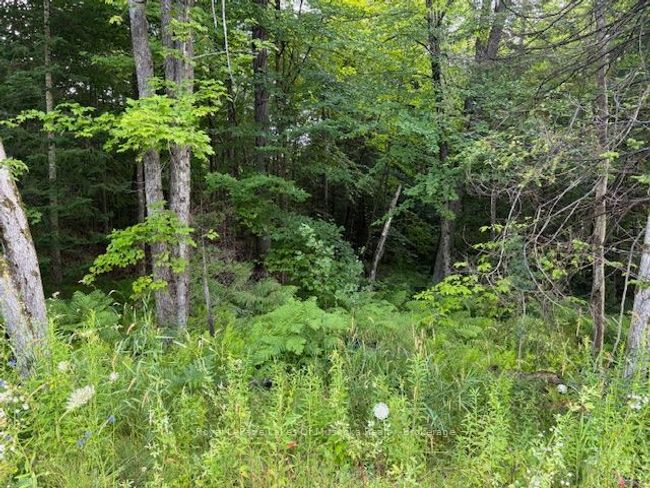60 Summer Leigh Trail, Home with 0 bedrooms, 0 bathrooms and null parking in Utterson ON | Image 7