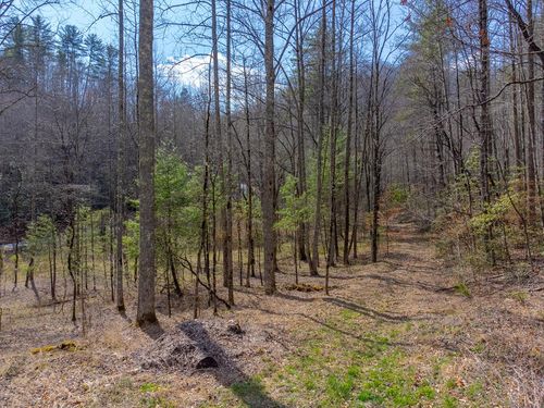47.52 ac Little Snowbird Rd, Robbinsville, NC, 28771 | Card Image