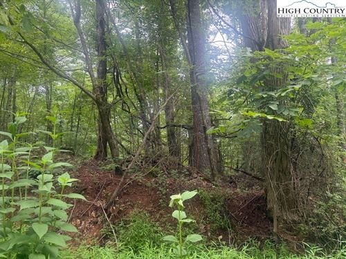 TBD Nikanor Rd, West Jefferson, NC, 28694 | Card Image