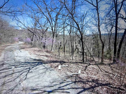 Lot 31 Chickasaw Ln, Holiday Island, AR, 72631-5028 | Card Image