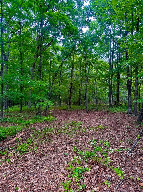 0 Highway 2, Dalton, GA, 30721 | Card Image