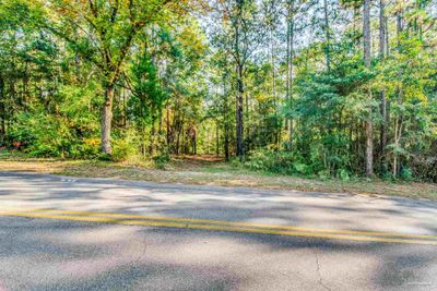 Lot 19 Sioux Cir, Home with 0 bedrooms, 0 bathrooms and null parking in Crestview FL | Image 2