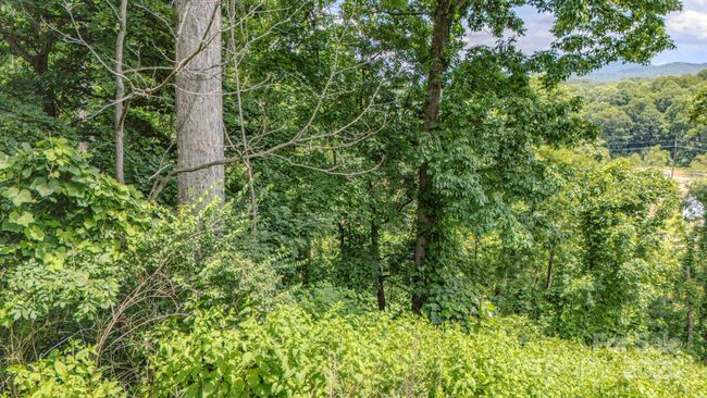 99999 Westchester Dr, Home with 0 bedrooms, 0 bathrooms and null parking in Asheville NC | Image 8