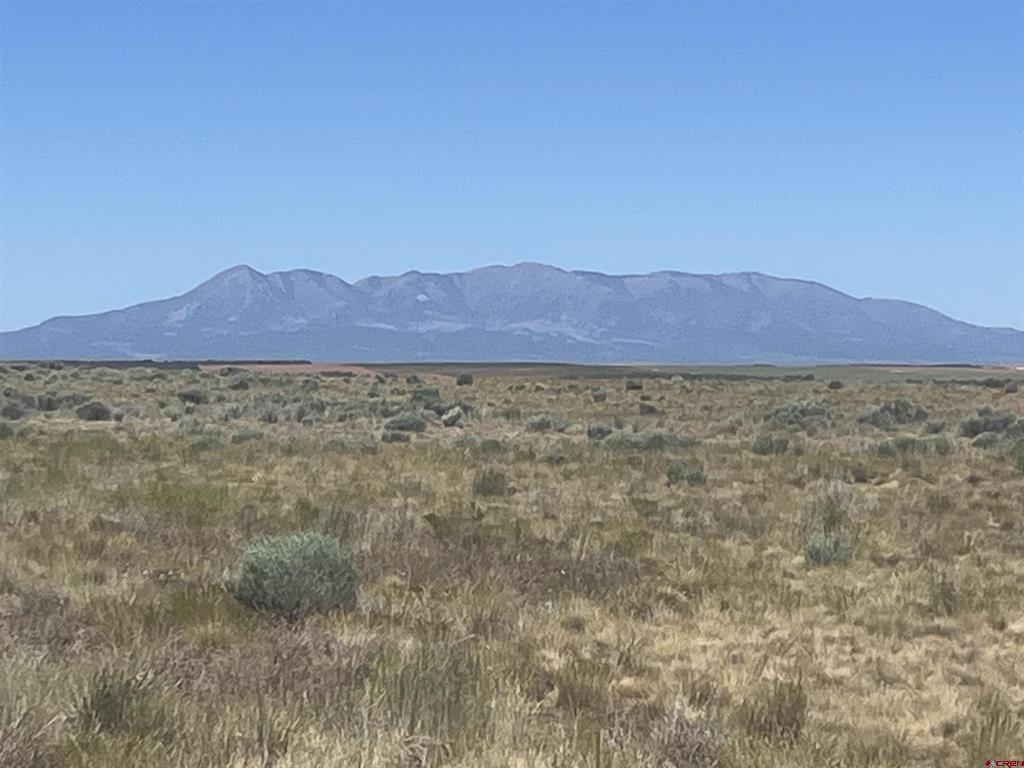 Land in Dove Creek 4