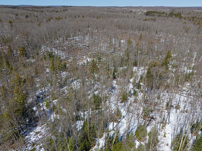 160-acre Pleasant Lake Rd, Home with 0 bedrooms, 0 bathrooms and null parking in Upson WI | Image 20