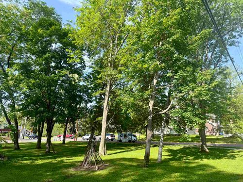 Lot 1 and 2 8th St, Baraboo, WI, 53913 | Card Image