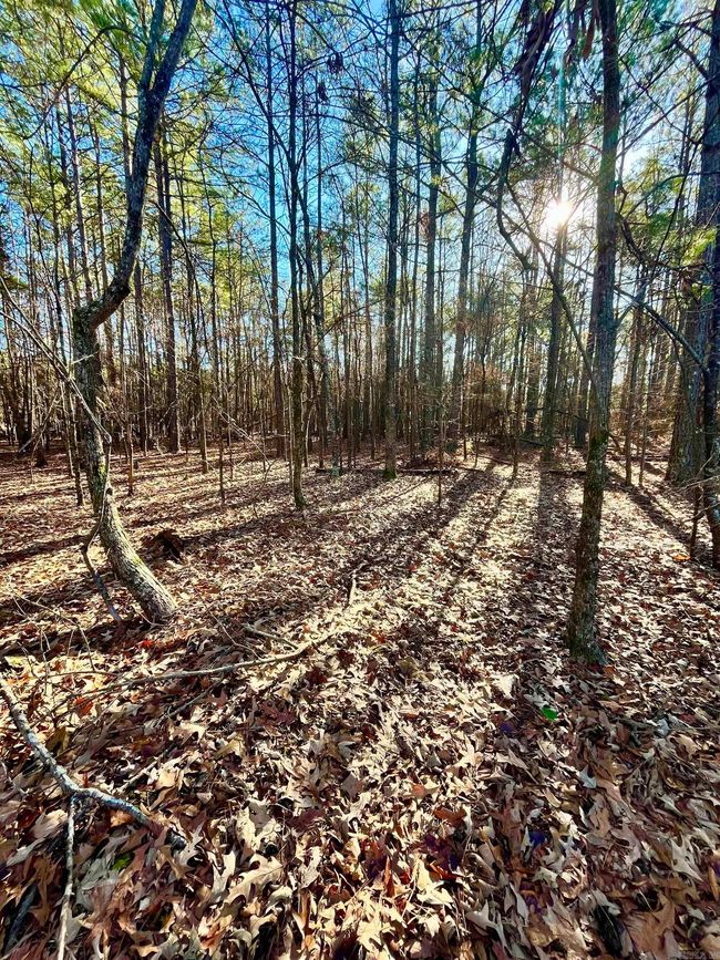62 Dallas 409, Home with 0 bedrooms, 0 bathrooms and null parking in Leola AR | Image 6
