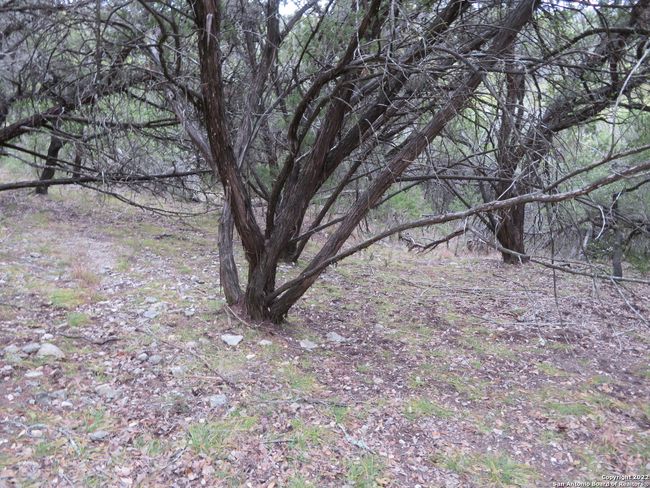 LOT 304-306 Deer Trl, Home with 0 bedrooms, 0 bathrooms and null parking in Pipe Creek TX | Image 5