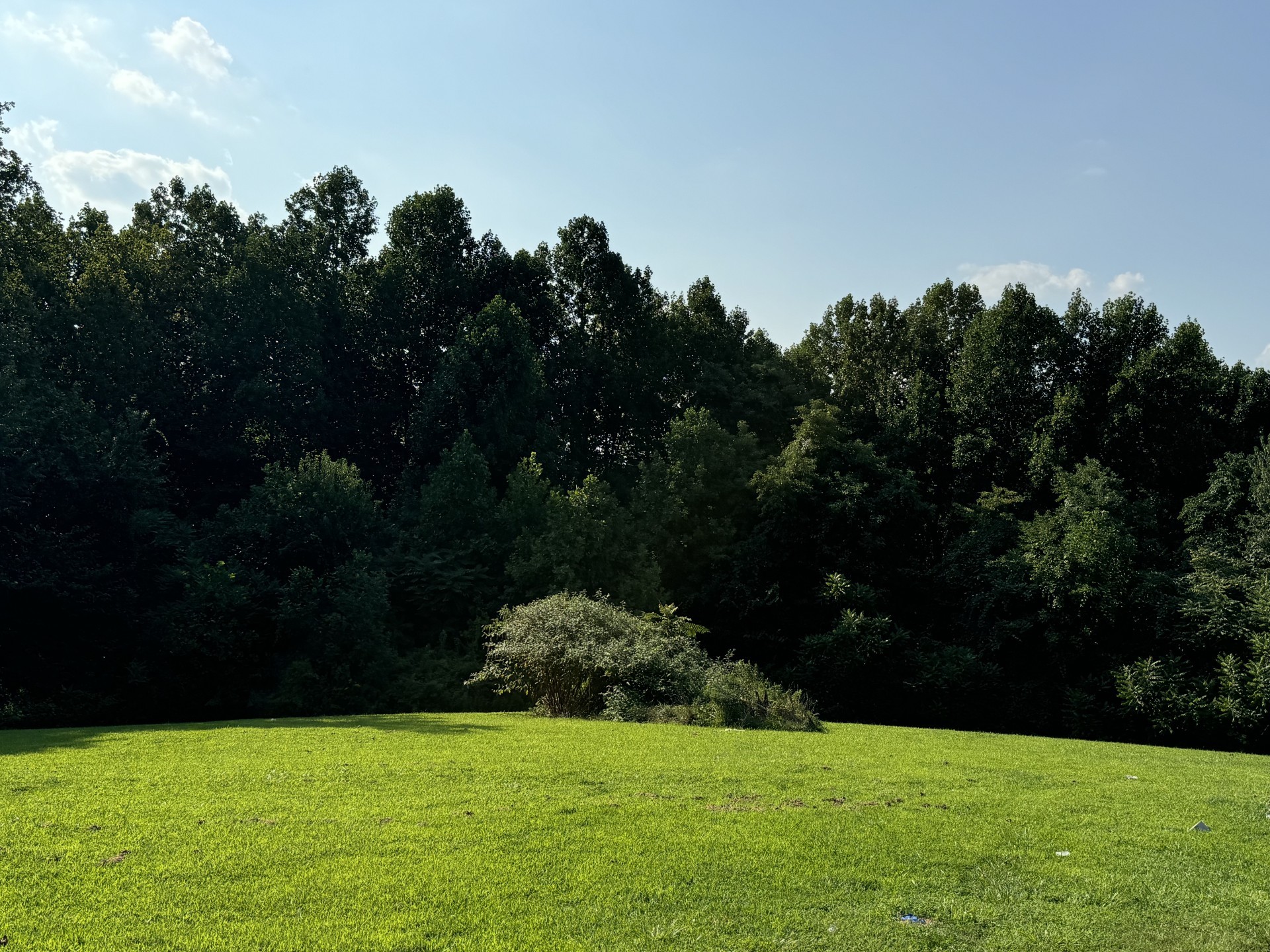 Union Ridge Rd, Wartrace, TN 37183