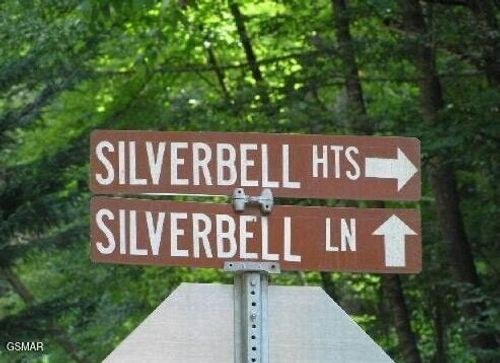 329 Silverbell Ln, Gatlinburg, TN, 37738-4715 | Card Image