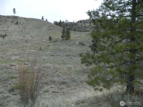 11 Tbd Six Gun Way, Tonasket, WA, 98855 | Card Image