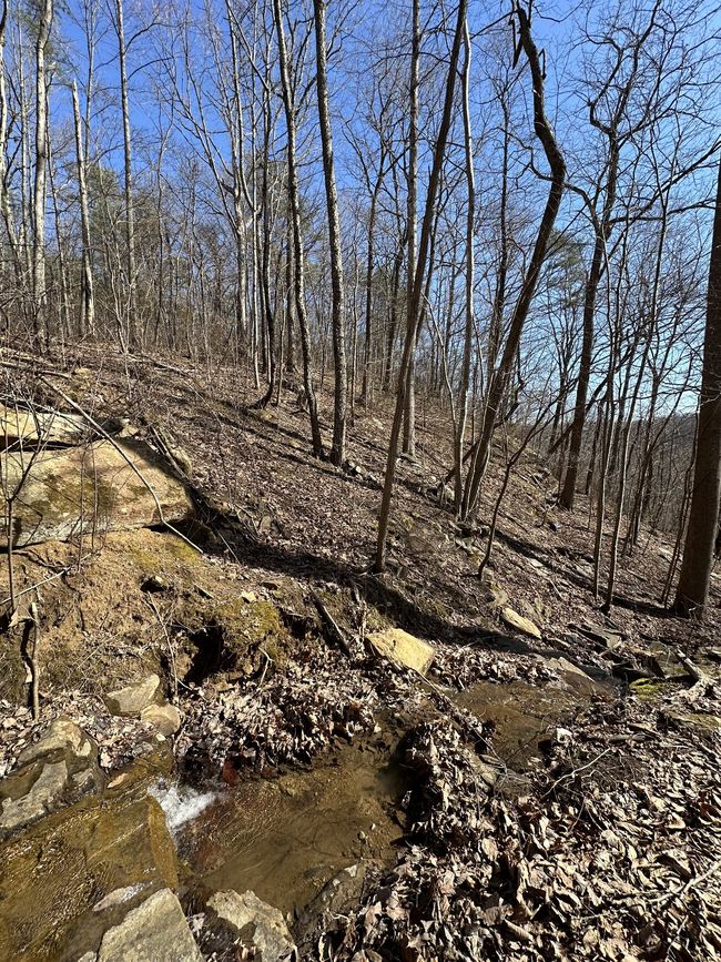0 Middle Ridge Rd, Home with 0 bedrooms, 0 bathrooms and null parking in Beersheba Springs TN | Image 15