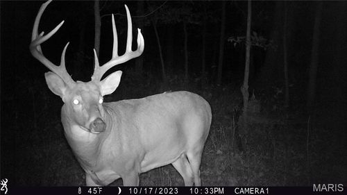 00 Union Grove Ave, Greenville, IL, 62246 | Card Image