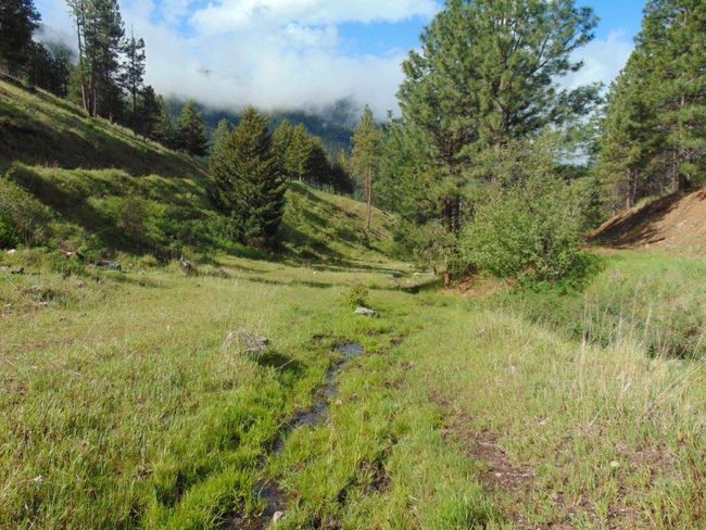 27235 Lazy Springs Rd, Home with 0 bedrooms, 0 bathrooms and null parking in Clinton MT | Image 49