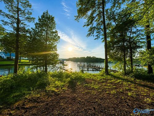 Lot 19 River Pt, Cedar Bluff, AL, 35959 | Card Image