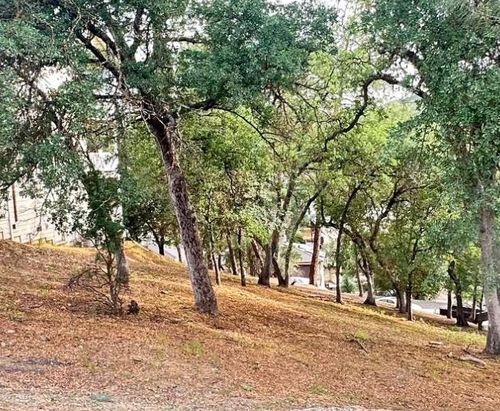 423 Winchester Way, Copperopolis, CA, 95228-9778 | Card Image