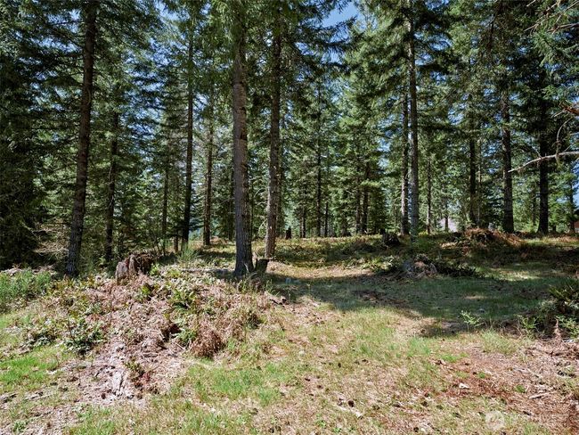 Acreage | Image 10