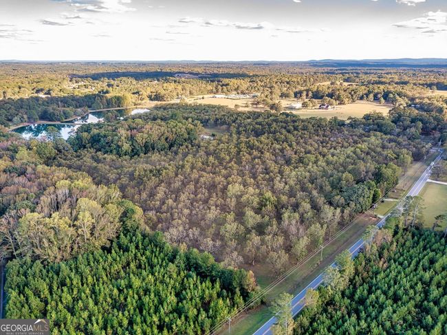 2066 Drew Allen Rd, House other with 4 bedrooms, 3 bathrooms and 3 parking in Williamson GA | Image 98