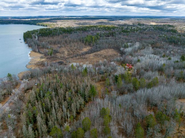 All the mature trees on the property create a very private retreat. | Image 14