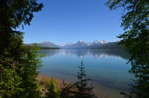 361 Grist Rd, West Glacier, MT, 59936-7729 | Card Image