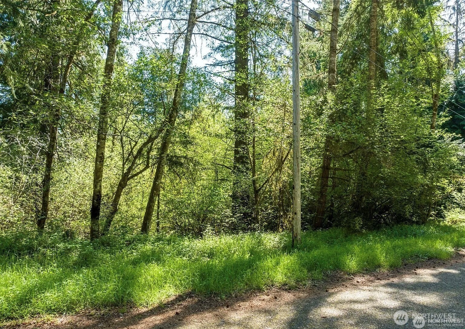 Land in Anderson Island