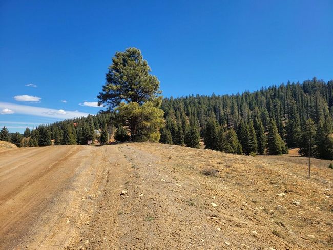 Lot & Subdivision Road | Image 8