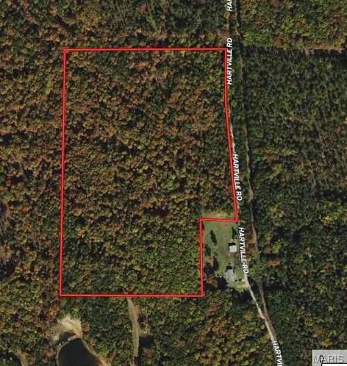 11293 Hartville Rd, Licking, MO, 65542-9850 | Card Image