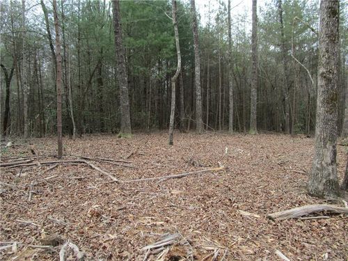 3 AC East New Hope Road, Ellijay, GA, 30536 | Card Image