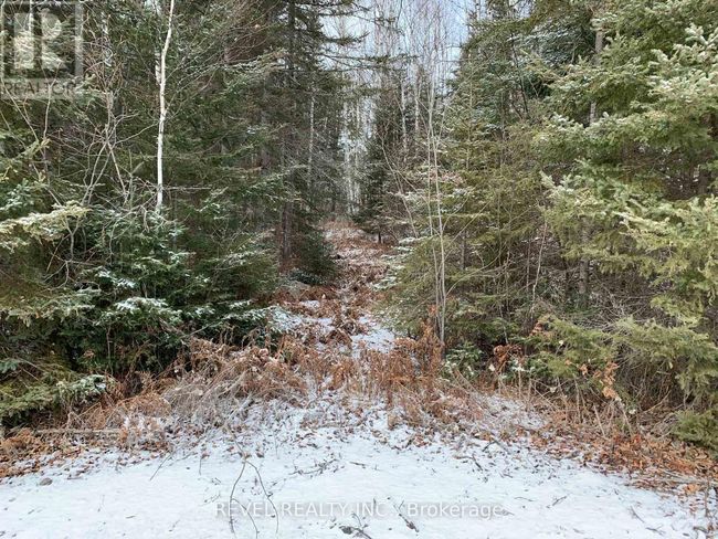 PCL8547 Hwy 101 Highway W, Home with 0 bedrooms, 0 bathrooms and null parking in Timmins (MTJ - 101 West) ON | Image 22