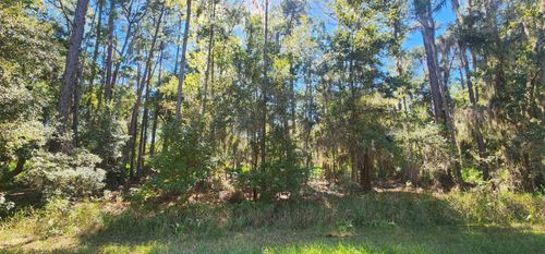 205 Terri Ave, Georgetown, FL, 32139-2945 | Card Image