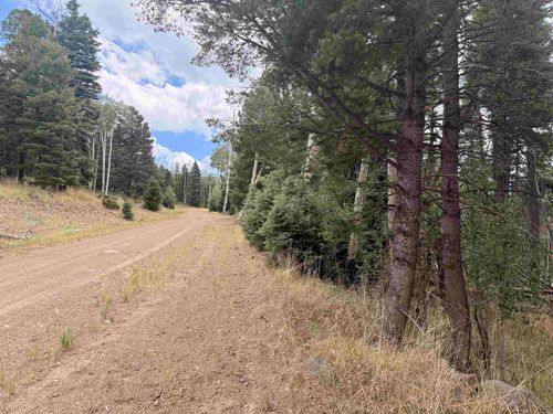 Lot 1311 Pleasant Valley Overlook, Angel Fire, NM, 87710 | Card Image
