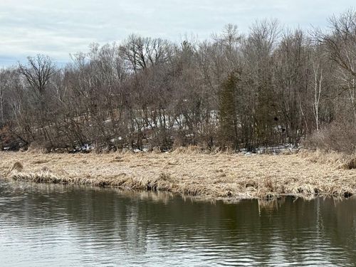 TBD Basswood Drive, Sauk Centre, MN, 56378 | Card Image