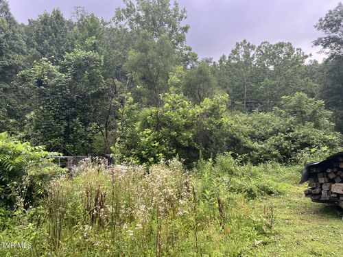 Tbd Abner Branch Road, Bee, VA, 24217 | Card Image