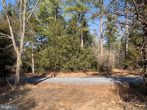 0 Supinlick Ridge Rd, MOUNT JACKSON, VA, 22842 | Card Image