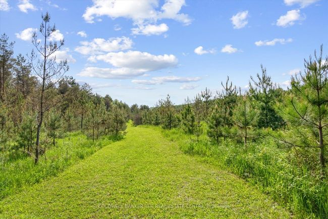 798213 3 Rd Line, House other with 4 bedrooms, 2 bathrooms and 10 parking in Mulmur ON | Image 50