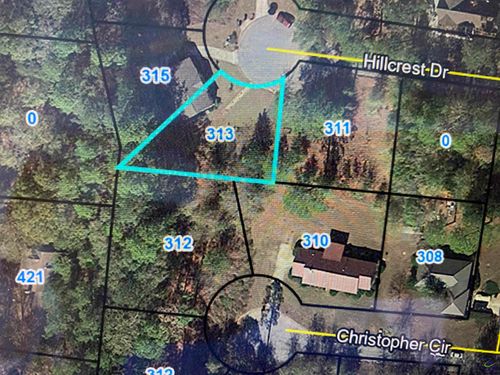 313 Hillcrest Drive, Montezuma, GA, 31063 | Card Image