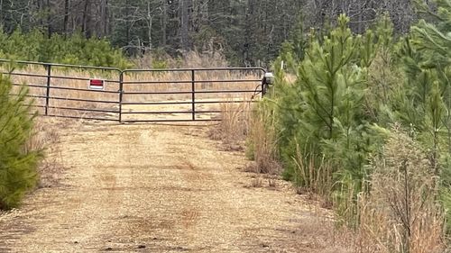 4866-4684-4866 Highway 291 N, Prattsville, AR, 72129 | Card Image