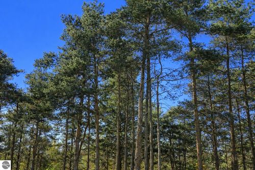 8832 Cedar Creek Drive, Petoskey, MI, 49770 | Card Image