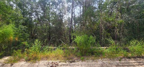 109 Locevan Ln S, Florahome, FL, 32140-1234 | Card Image