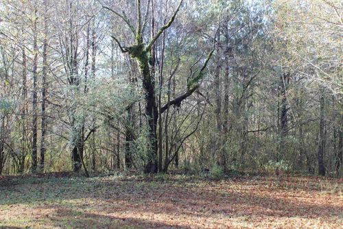 0 Co Rd 46, Addison, AL, 35540 | Card Image