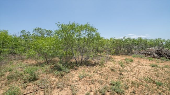 View of undeveloped land | Image 10